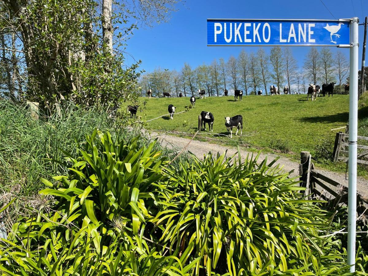 Pukeko Lane Apartment Tauranga Bagian luar foto